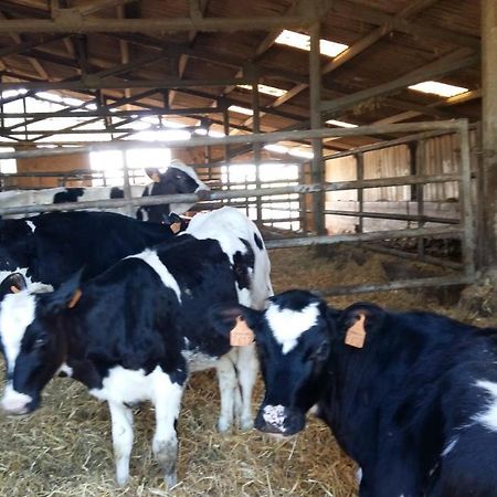 Charmante Maison A La Ferme Valderies Buitenkant foto