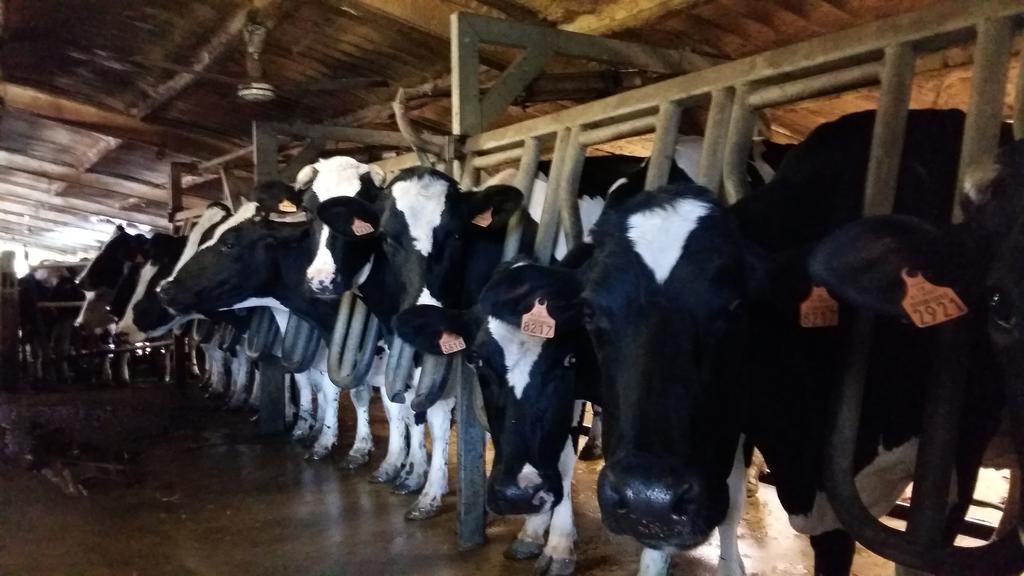 Charmante Maison A La Ferme Valderies Buitenkant foto