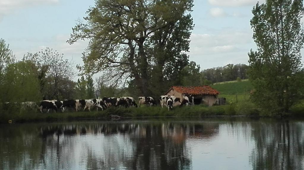 Charmante Maison A La Ferme Valderies Buitenkant foto