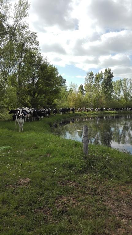 Charmante Maison A La Ferme Valderies Buitenkant foto