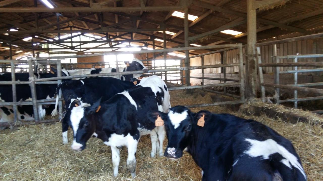Charmante Maison A La Ferme Valderies Buitenkant foto